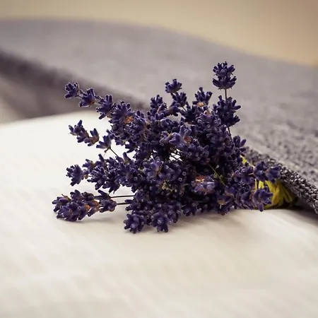 Zur Alten Schule Burg (Spreewald)