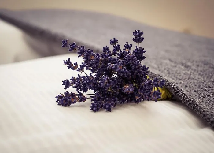 Zur Alten Schule Burg